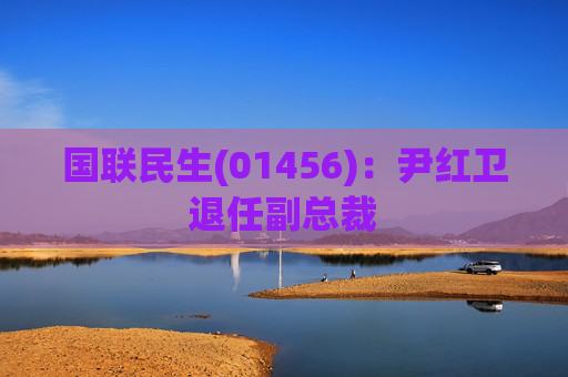 国联民生(01456)：尹红卫退任副总裁