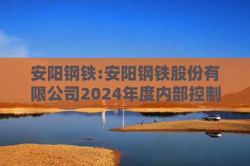 安阳钢铁:安阳钢铁股份有限公司2024年度内部控制评价报告