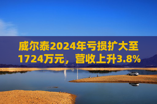 威尔泰2024年亏损扩大至1724万元，营收上升3.8%至1.63亿元