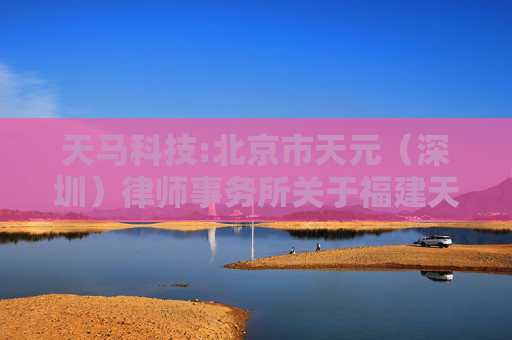 天马科技:北京市天元（深圳）律师事务所关于福建天马科技集团股份有限公司2024年股票期权激励计划调整行权价格及注销部分股票期权的法律意见  第1张