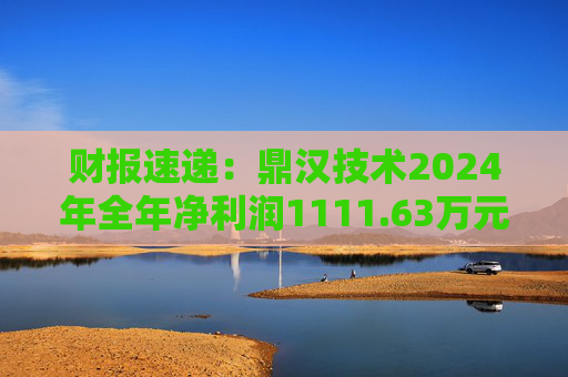 财报速递：鼎汉技术2024年全年净利润1111.63万元  第1张