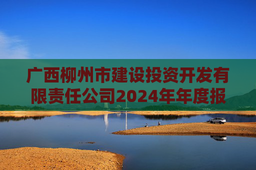 广西柳州市建设投资开发有限责任公司2024年年度报告