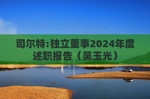 司尔特:独立董事2024年度述职报告（吴玉光）  第1张