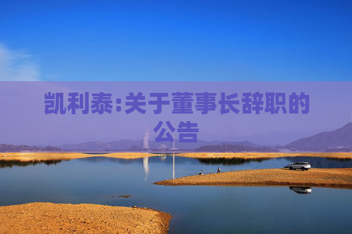 凯利泰:关于董事长辞职的公告