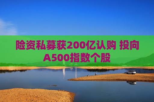 险资私募获200亿认购 投向A500指数个股  第1张