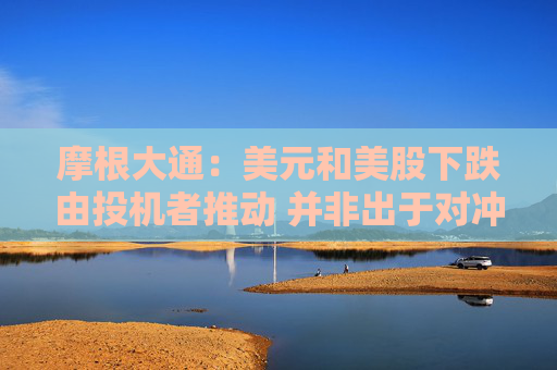 摩根大通：美元和美股下跌由投机者推动 并非出于对冲目的