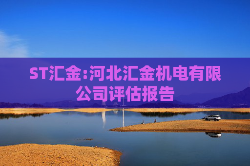 ST汇金:河北汇金机电有限公司评估报告
