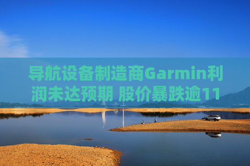 导航设备制造商Garmin利润未达预期 股价暴跌逾11.5%