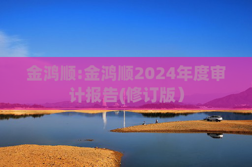 金鸿顺:金鸿顺2024年度审计报告(修订版）  第1张