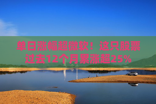 单日涨幅超微软！这只股票过去12个月累涨超25%