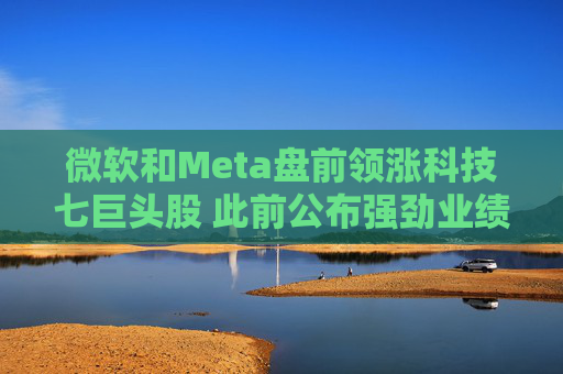 微软和Meta盘前领涨科技七巨头股 此前公布强劲业绩