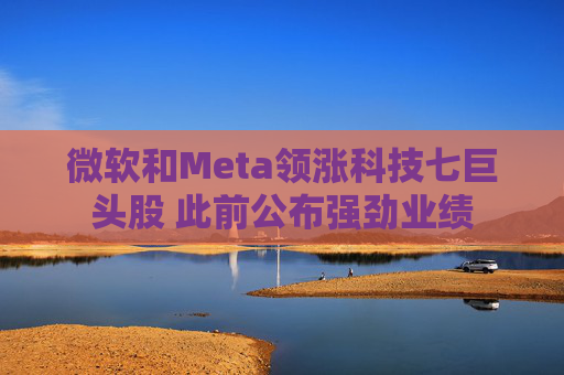 微软和Meta领涨科技七巨头股 此前公布强劲业绩