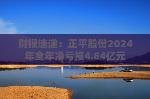财报速递：正平股份2024年全年净亏损4.84亿元
