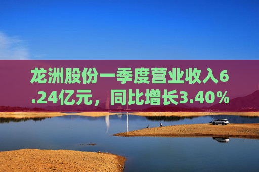 龙洲股份一季度营业收入6.24亿元，同比增长3.40%