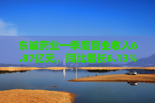 东诚药业一季度营业收入6.87亿元，同比增长6.13%
