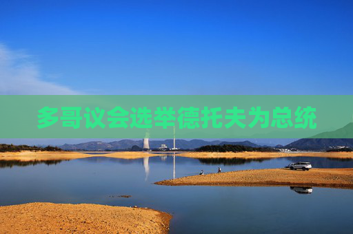 多哥议会选举德托夫为总统