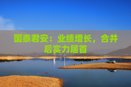 国泰君安：业绩增长，合并后实力居首