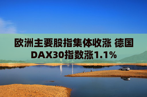 欧洲主要股指集体收涨 德国DAX30指数涨1.1%  第1张