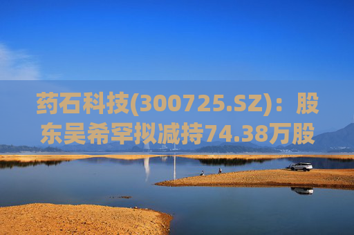 药石科技(300725.SZ)：股东吴希罕拟减持74.38万股公司股份