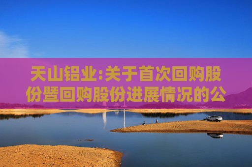天山铝业:关于首次回购股份暨回购股份进展情况的公告
