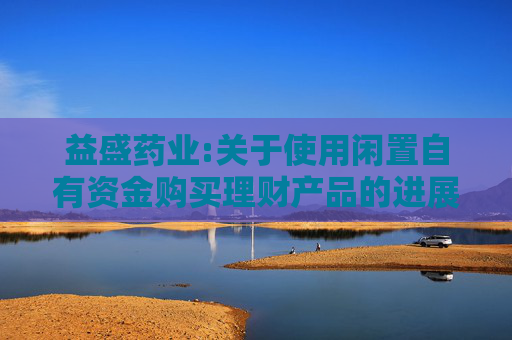 益盛药业:关于使用闲置自有资金购买理财产品的进展公告