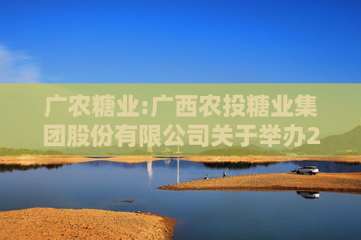 广农糖业:广西农投糖业集团股份有限公司关于举办2024年度网上业绩说明会的公告