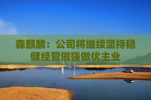 森麒麟：公司将继续坚持稳健经营做强做优主业