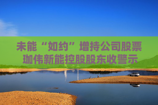 未能“如约”增持公司股票 珈伟新能控股股东收警示函