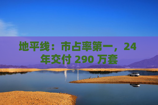 地平线：市占率第一，24 年交付 290 万套  第1张