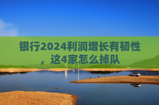 银行2024利润增长有韧性，这4家怎么掉队