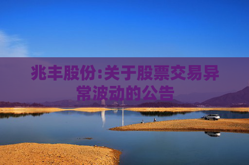 兆丰股份:关于股票交易异常波动的公告
