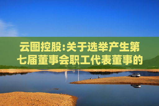 云图控股:关于选举产生第七届董事会职工代表董事的公告