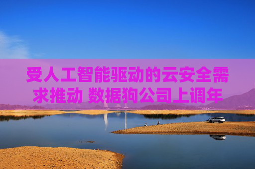 受人工智能驱动的云安全需求推动 数据狗公司上调年度营收预期