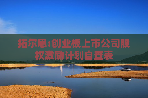 拓尔思:创业板上市公司股权激励计划自查表