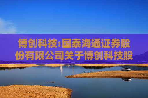 博创科技:国泰海通证券股份有限公司关于博创科技股份有限公司使用闲置自有资金进行委托理财的核查意见  第1张