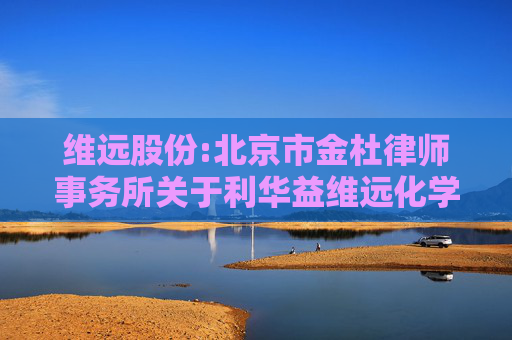 维远股份:北京市金杜律师事务所关于利华益维远化学股份有限公司2024年年度股东大会之法律意见书