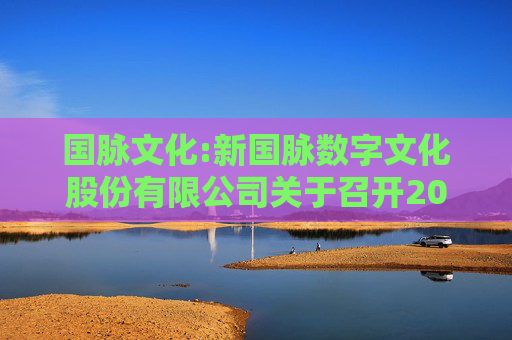 国脉文化:新国脉数字文化股份有限公司关于召开2024年度暨2025年第一季度业绩说明会的公告  第1张