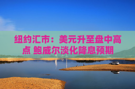 纽约汇市：美元升至盘中高点 鲍威尔淡化降息预期  第1张