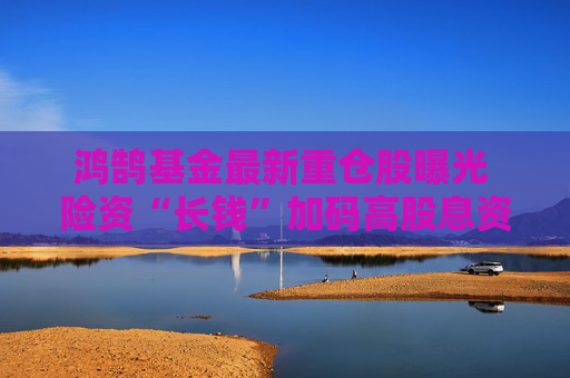 鸿鹄基金最新重仓股曝光 险资“长钱”加码高股息资产