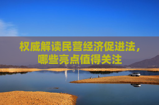 权威解读民营经济促进法，哪些亮点值得关注