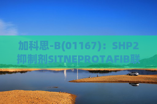 加科思-B(01167)：SHP2抑制剂SITNEPROTAFIB联用研究数据发表于学术期刊