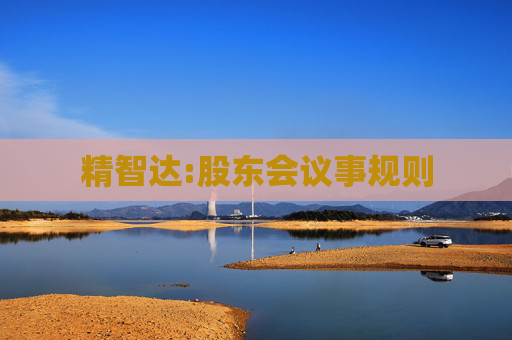 精智达:股东会议事规则