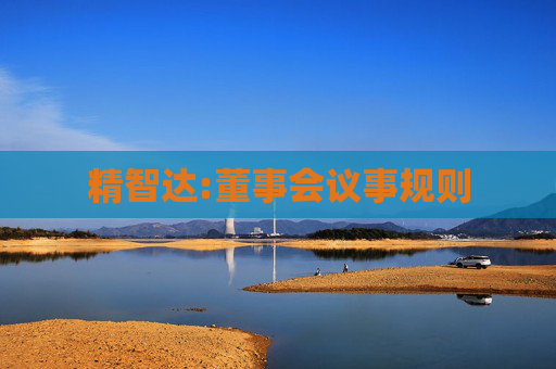 精智达:董事会议事规则