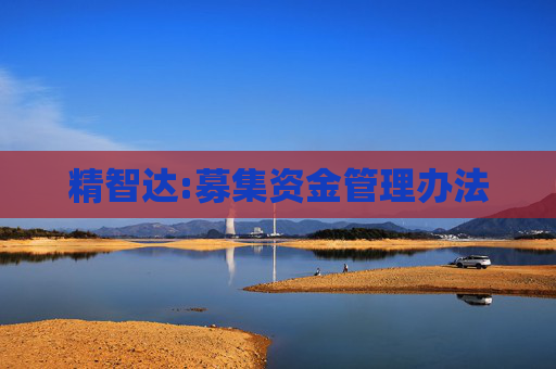 精智达:募集资金管理办法