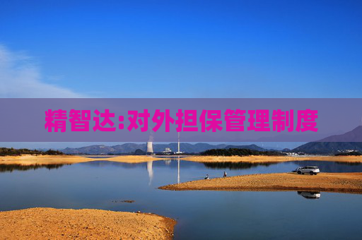 精智达:对外担保管理制度