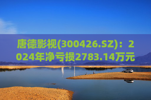 唐德影视(300426.SZ)：2024年净亏损2783.14万元