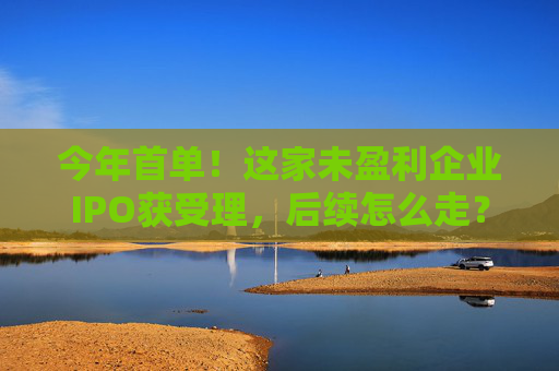 今年首单！这家未盈利企业IPO获受理，后续怎么走？