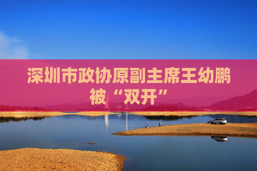 深圳市政协原副主席王幼鹏被“双开”