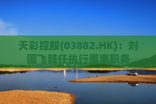 天彩控股(03882.HK)：刘国飞辞任执行董事职务  第1张