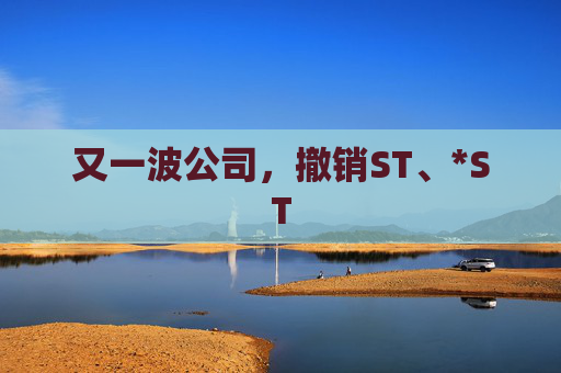 又一波公司，撤销ST、*ST  第1张
